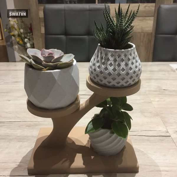 chậu cây in 3d độc đáo