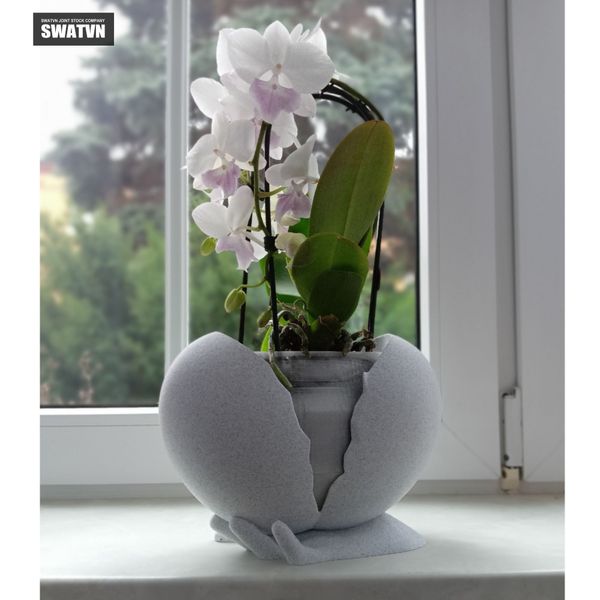in 3D chậu trồng cây độc đáo
