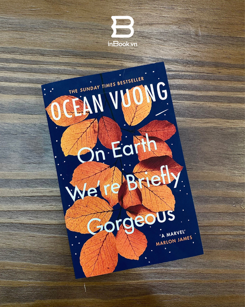 On Earth We're Briefly Gorgeous (2019)