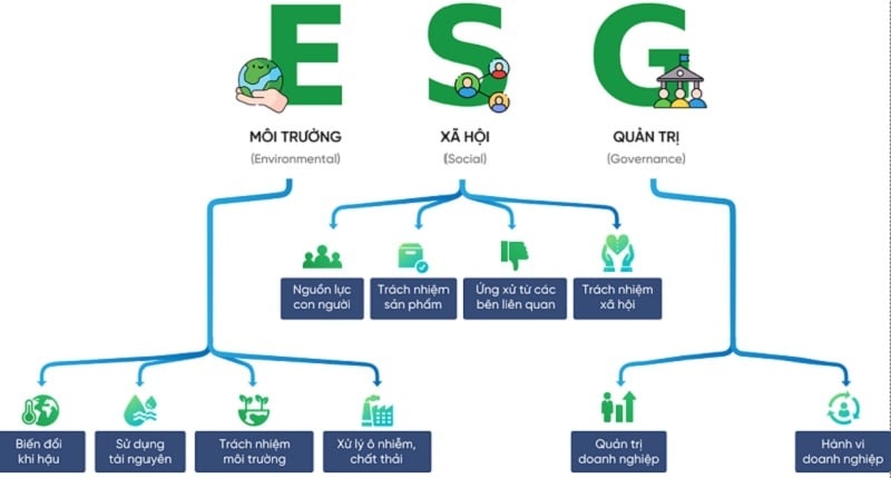 các yếu tố trong báo cáo esg