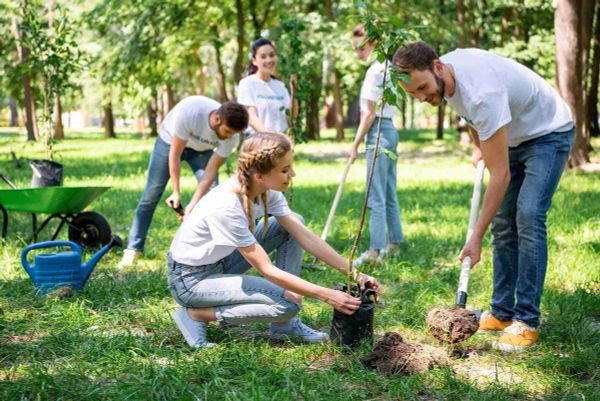 Hoạt động trồng cây trong CSR