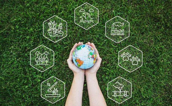 Cơ hội CSR mang lại trong nền kinh tế xanh