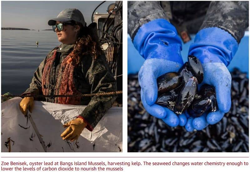 linking food conversion to sustainable development