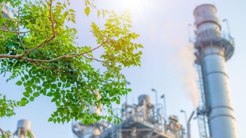 bước tiến của doanh nghiệp việt nam sang sản xuất xanh