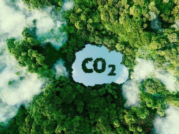 Nguyên nhân giảm khí thải carbon phải là trọng tâm của CSR hiện đại