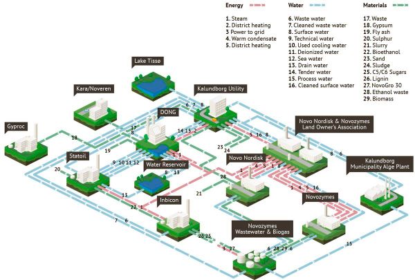 Một số hình thức cộng sinh công nghiệp