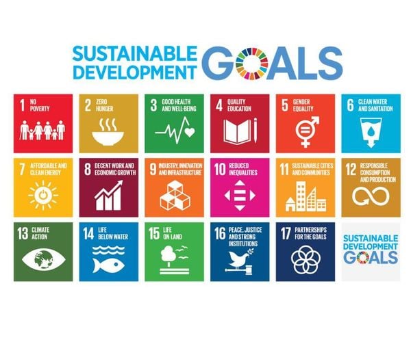 17 United Nations Sustainable Development Goals