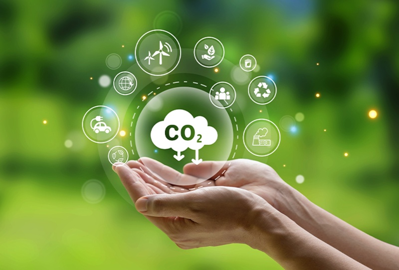 SBTi status in Vietnam