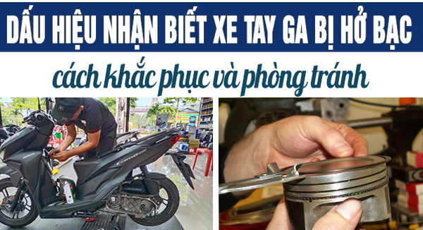 dau-hieu-nhan-biet-xe-bi-ho-bac-dan