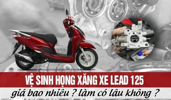 bao-duong-hong-xang-de-xe-luon-khoe