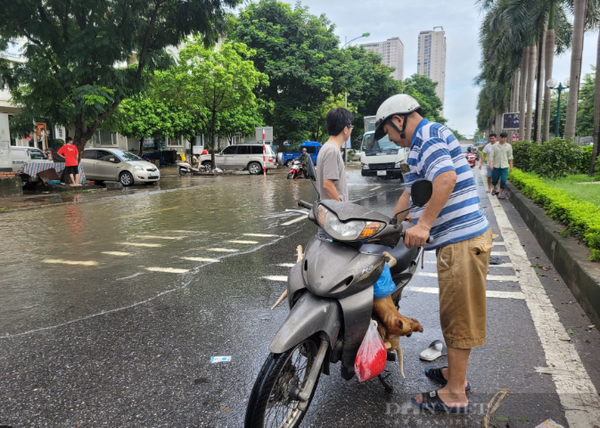 không đề xe nổ máy liên tục