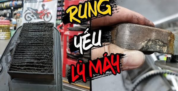 xe tay ga bi rung ga dau