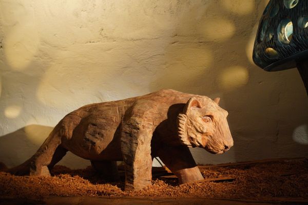 Cui-lu-art-space-hoi-an