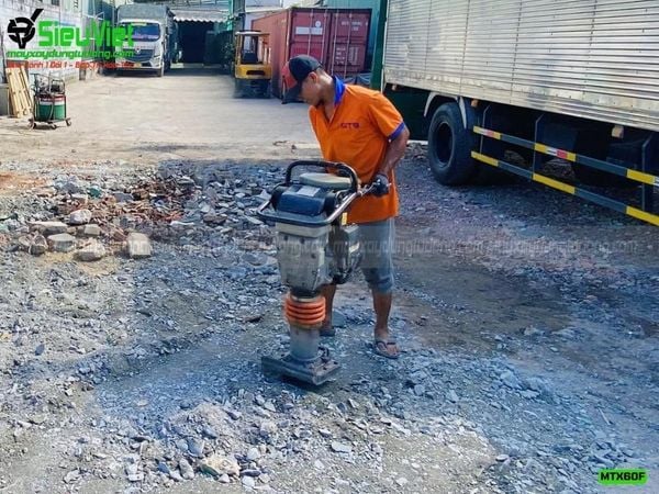 Giao thuê máy đầm cóc tận công trình