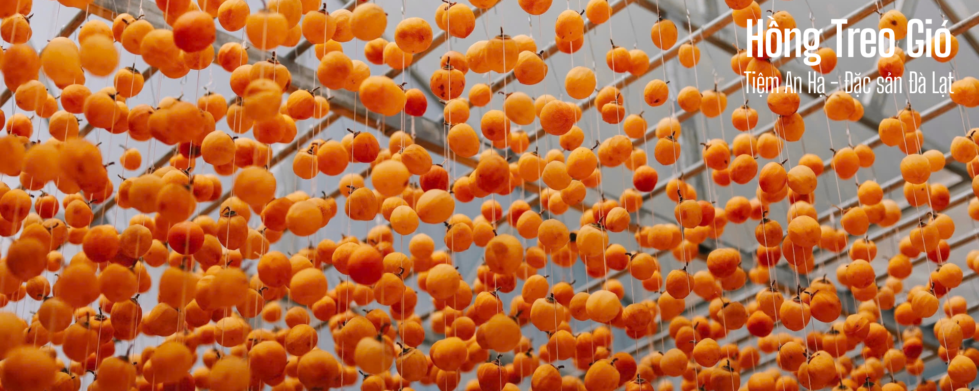 Hồng Treo Gió