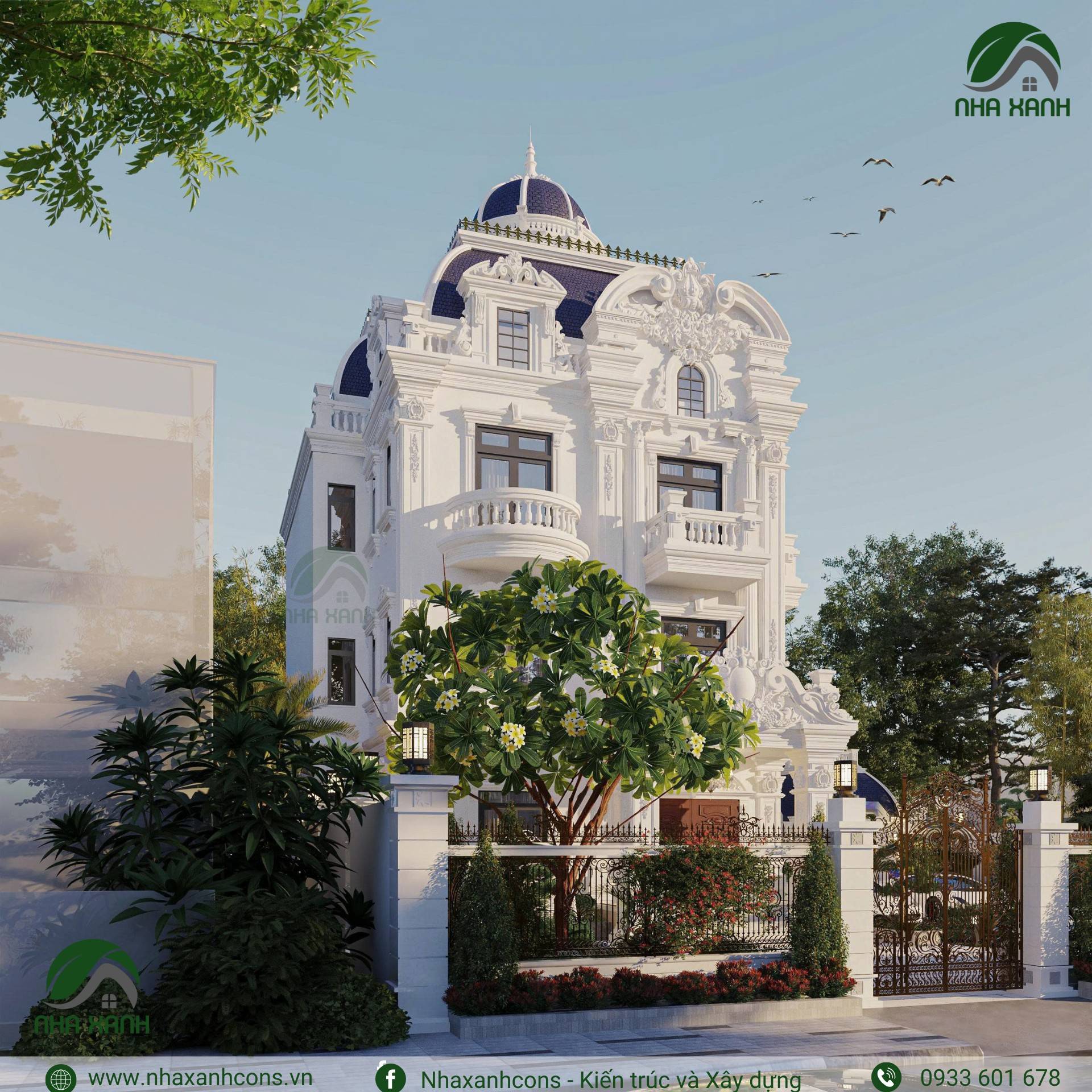 Hình ảnh bài viết