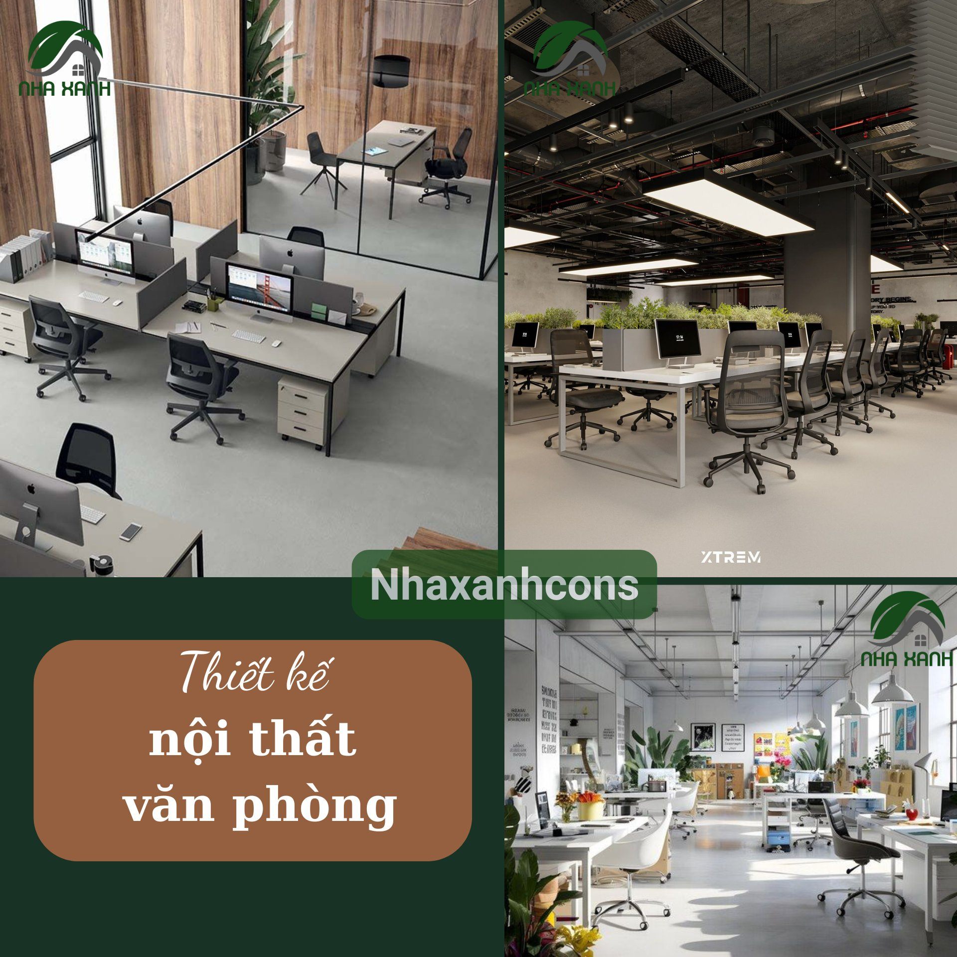 Hình ảnh bài viết