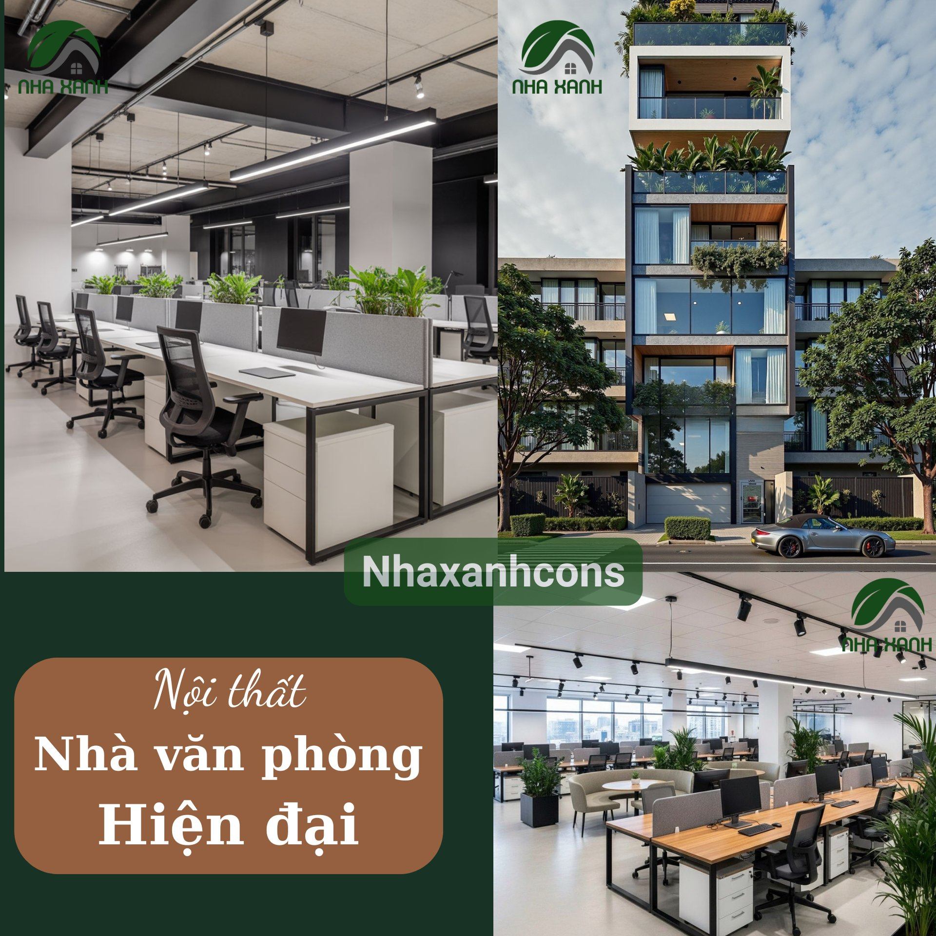 Hình ảnh bài viết