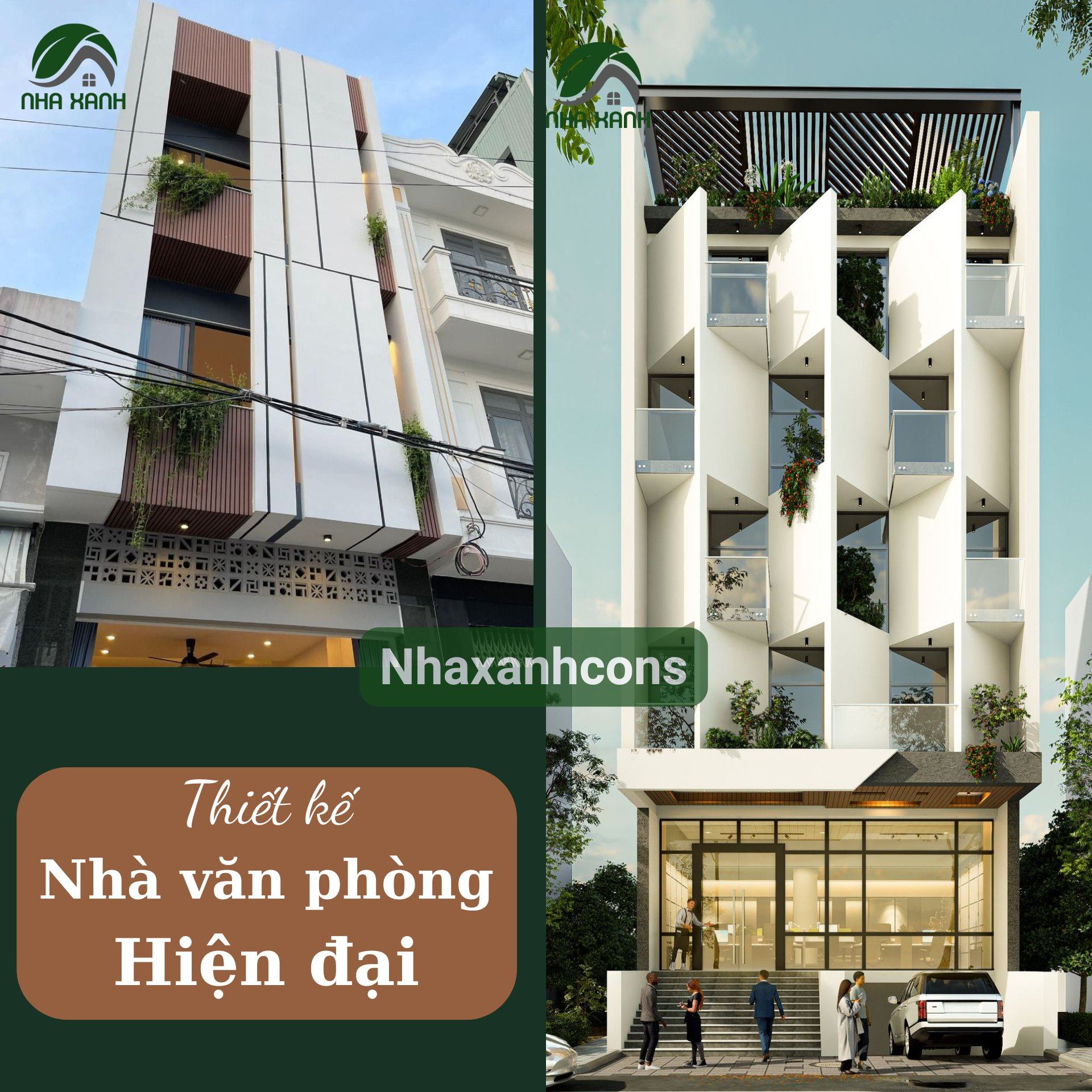 Hình ảnh bài viết