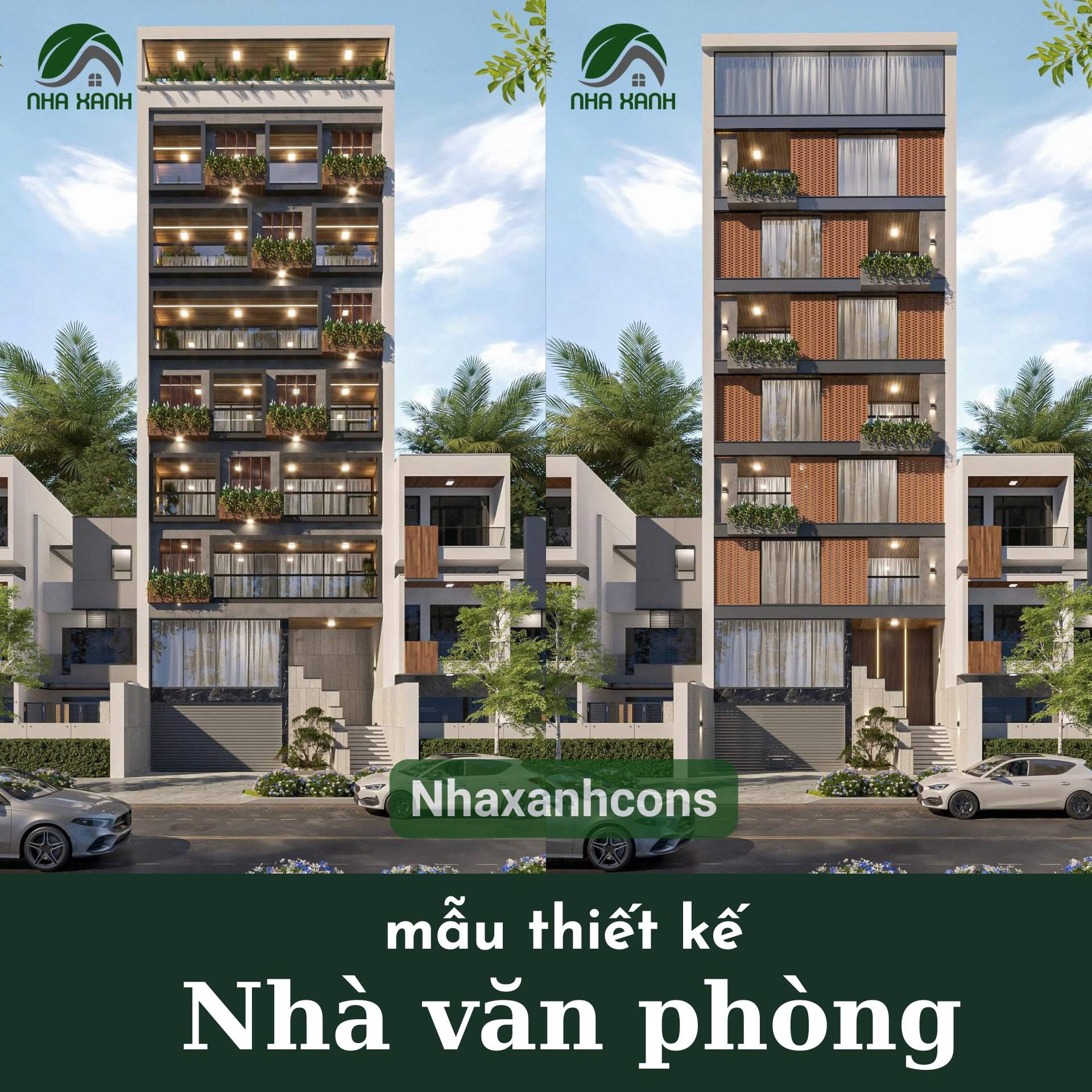 Hình ảnh bài viết