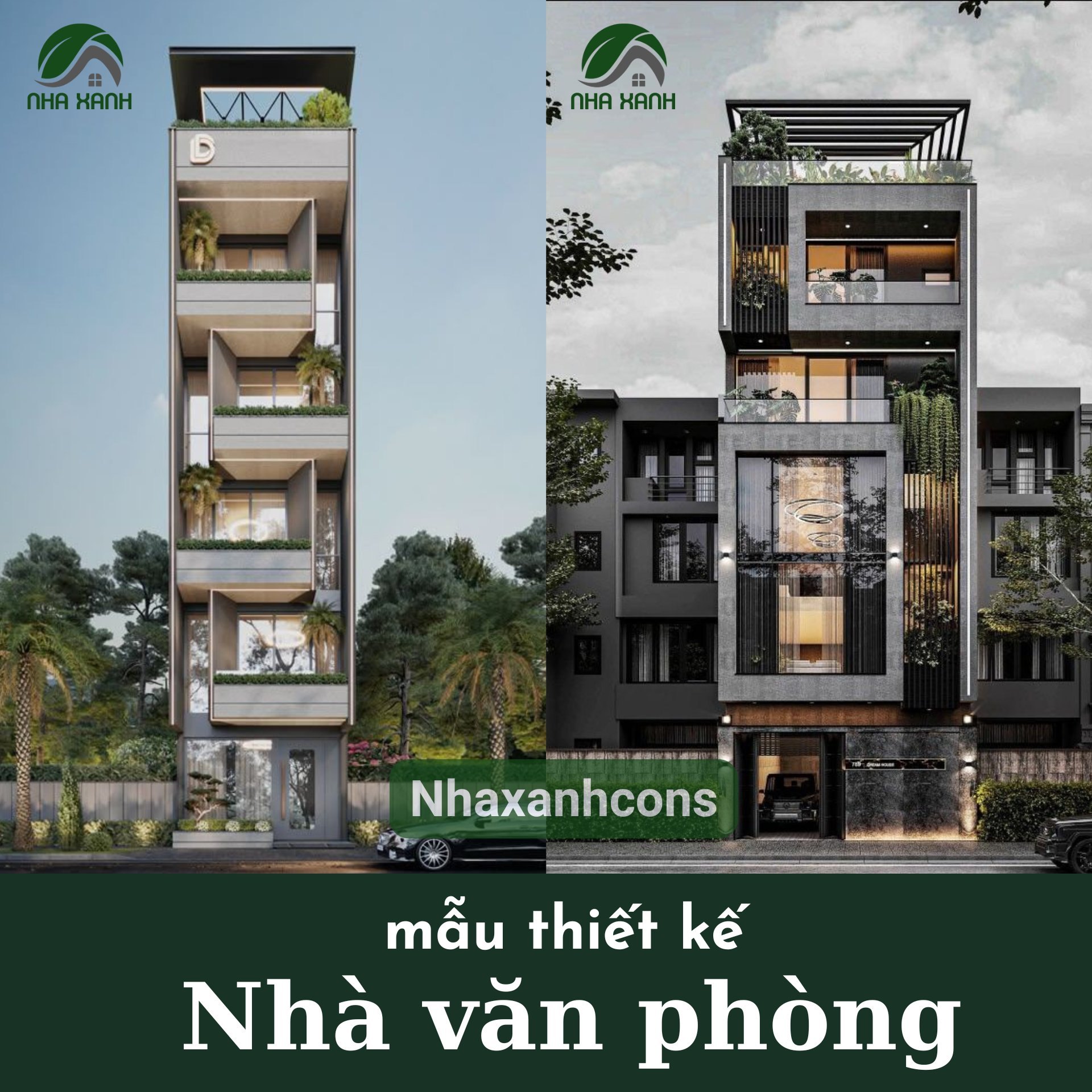 Hình ảnh bài viết