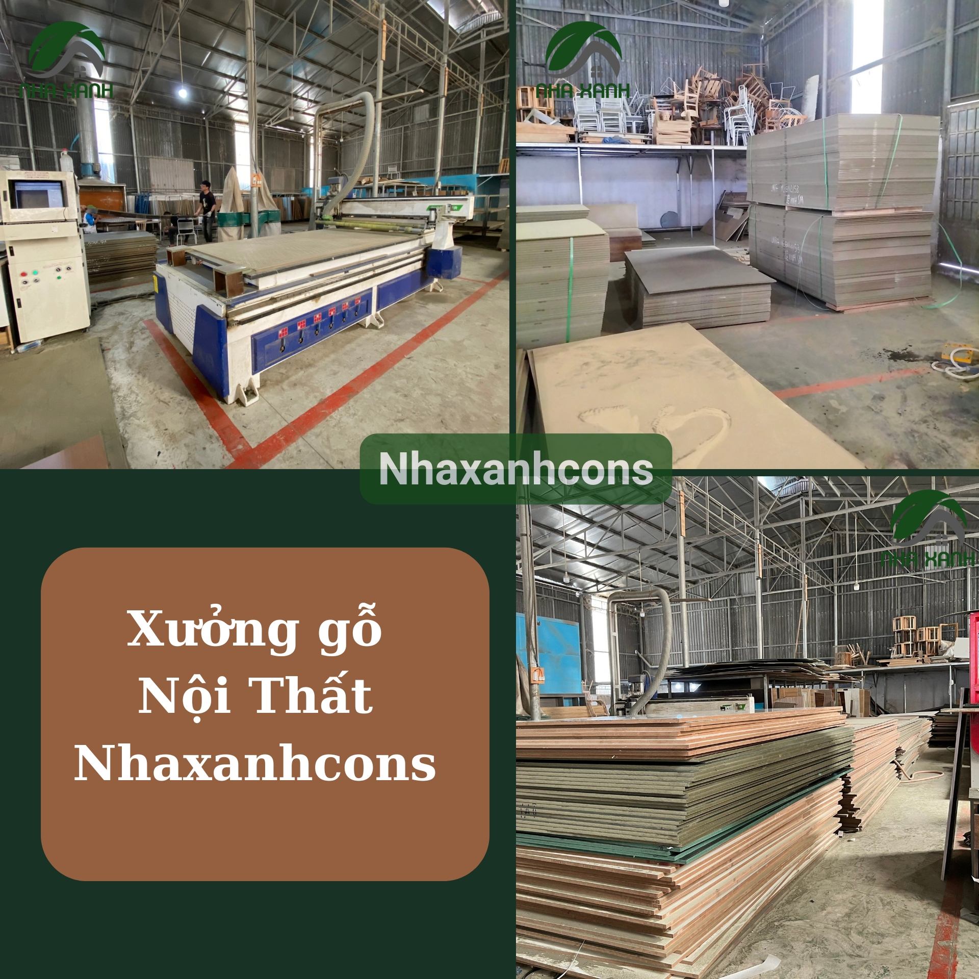 Hình ảnh bài viết