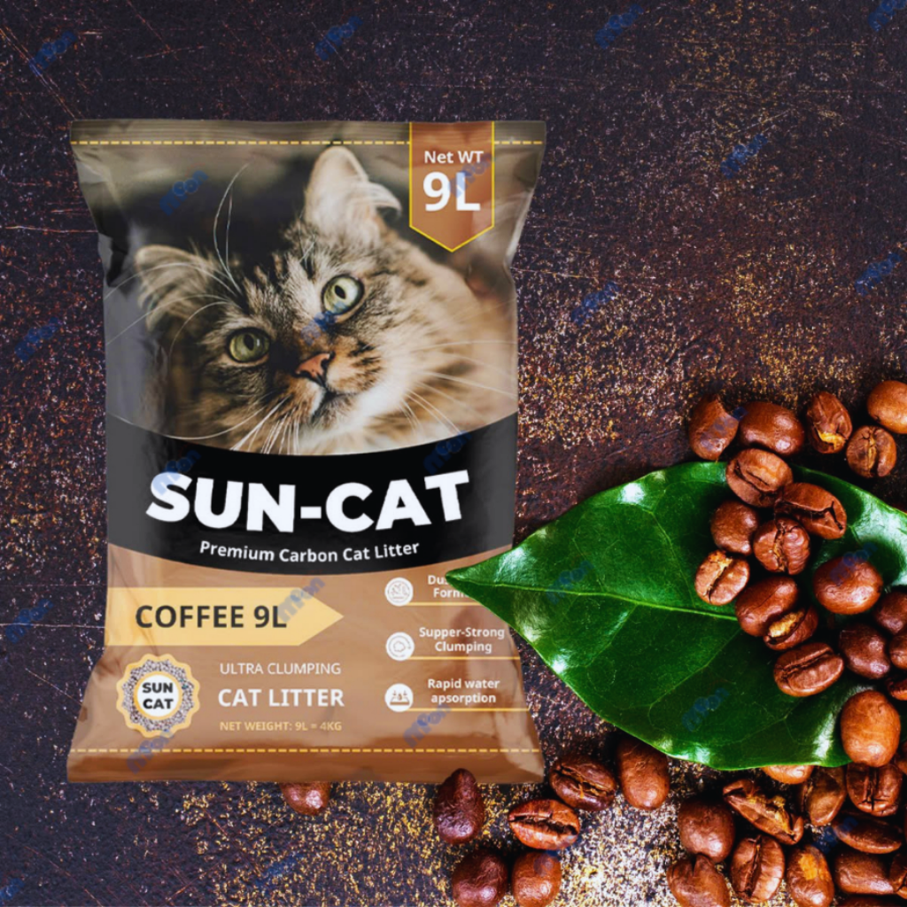 Cát Sun Cat