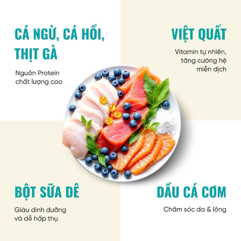 Thành phần hạt bite of wild K42