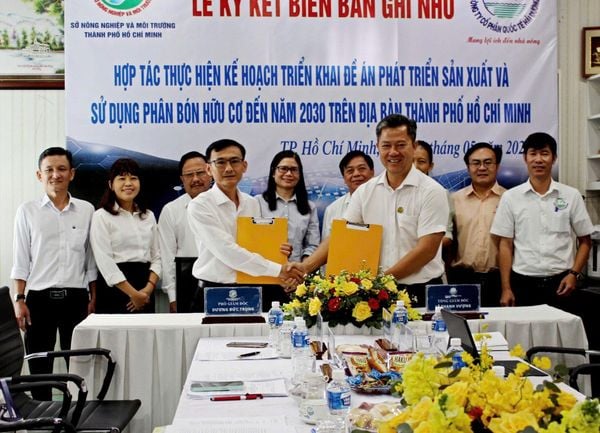 Lễ 