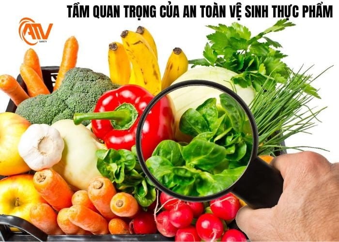 Tầm quan trọng nên biết của an toàn vệ sinh thực phẩm
