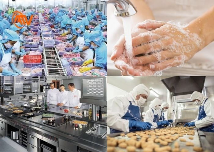 Những yếu tố ảnh hưởng VSATTP