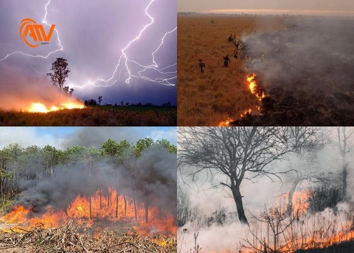 Nguyên nhân tự nhiên gây cháy rừng