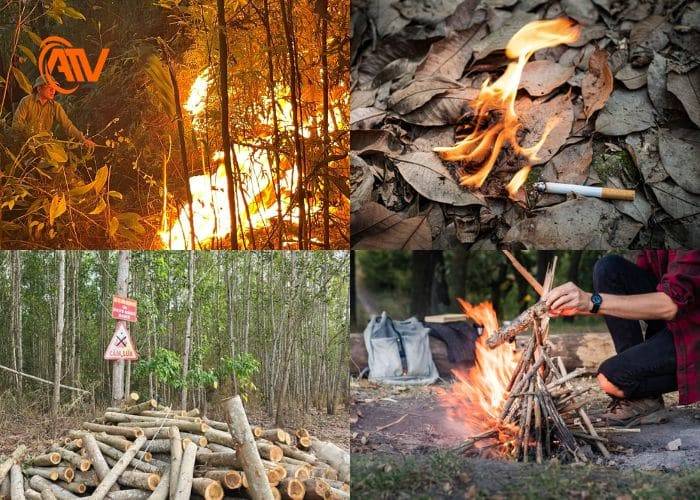 Nguyên nhân từ con người gây nên cháy rừng