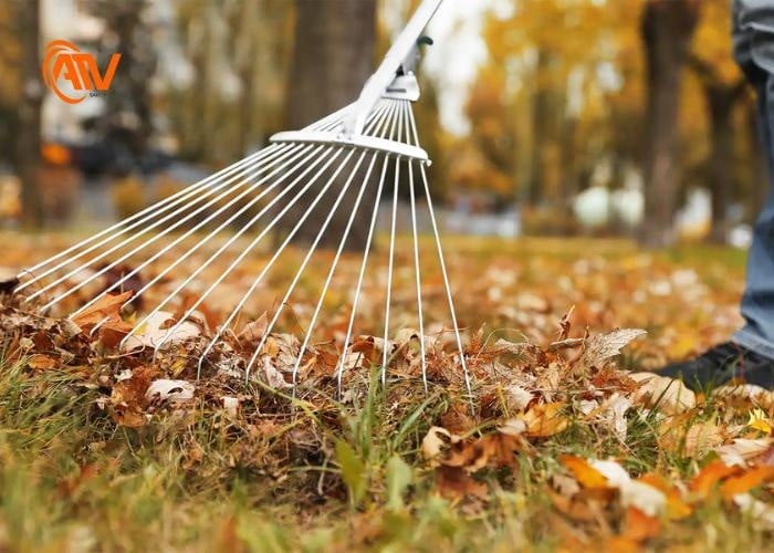 Biện pháp phòng ngừa cháy rừng