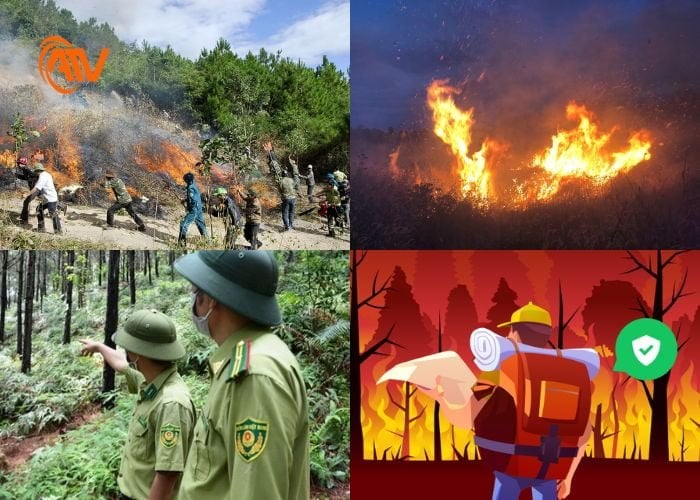 Biện pháp PCCC khi làm việc trong rừng an toàn