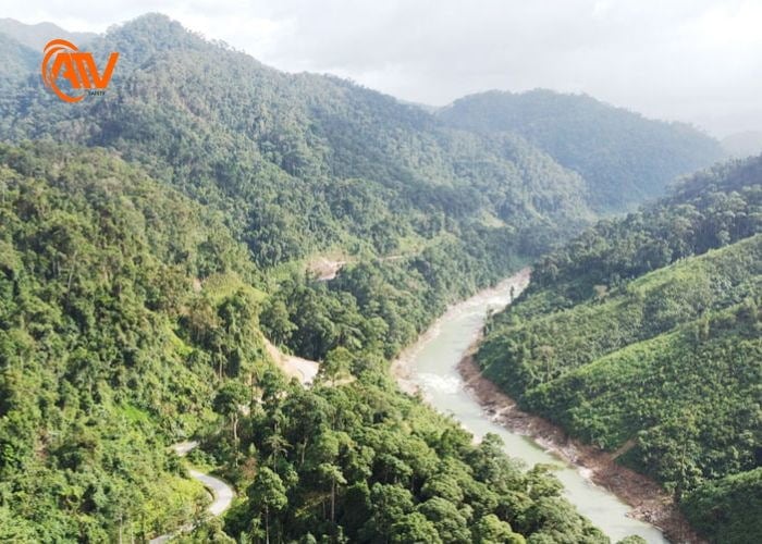 Ngăn chặn lũ quét bằng rừng đầu nguồn