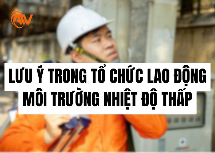 Lưu ý trong việc tổ chức lao động