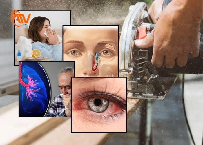 Những tác hại cần biết khi tiếp xúc với bụi gỗ