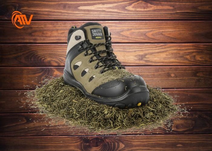 Làm khô giày bằng bã trà