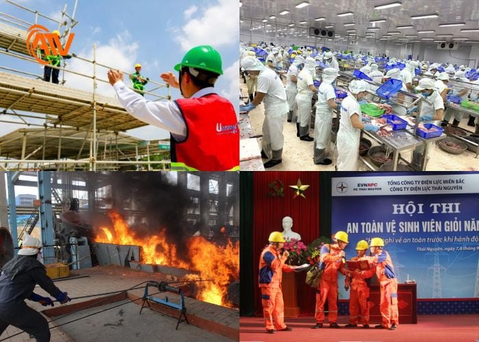 Các đối tượng bắt buộc phải có chứng chỉ