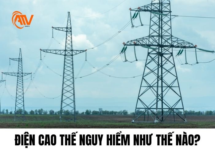 Điện cao thế để lại hậu quả nghiêm trọng