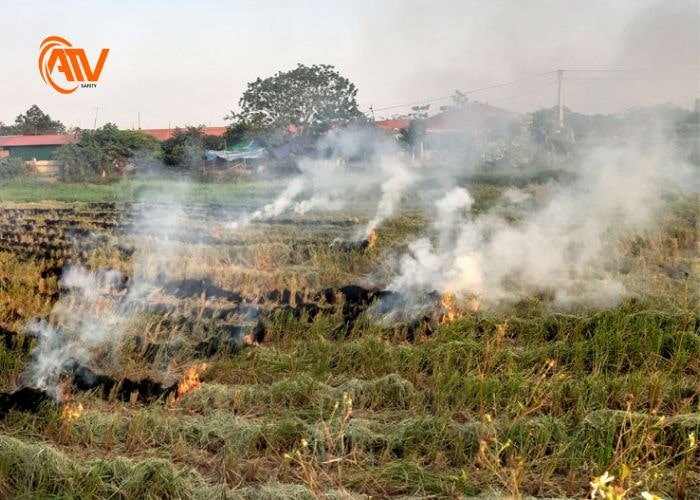 Tác hại của khí CH₄