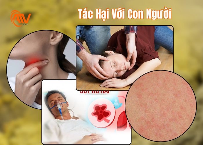 Tác hại của lưu huỳnh gây ra cho con người