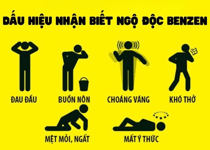 Làm sao để biết bị ngộ độc benzen