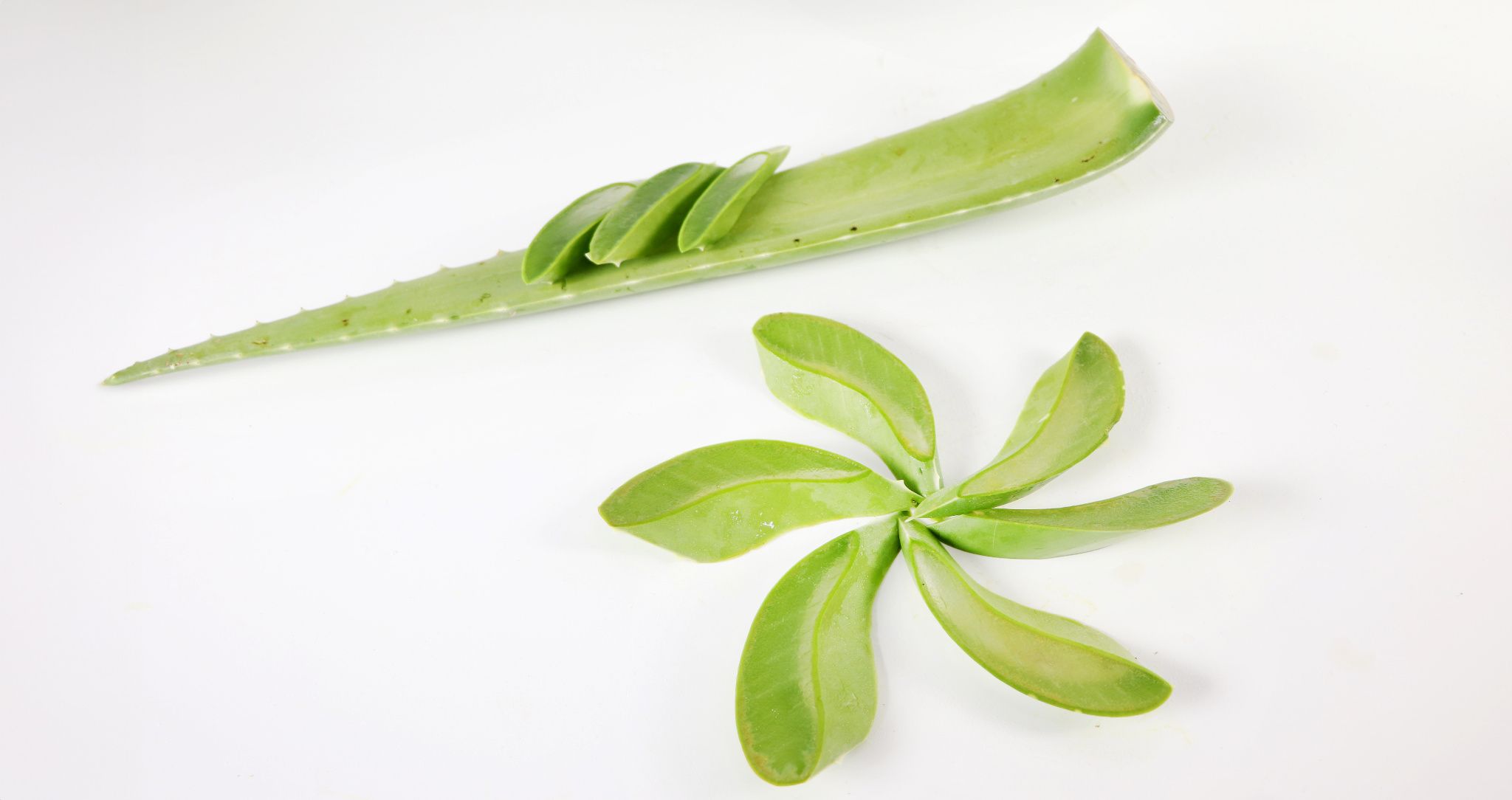 Sử dụng sản phẩm nha đam đã qua sơ chế đạt chuẩn từ GC Food giúp tiết kiệm thời gian và đảm bảo an toàn vệ sinh thực phẩm.