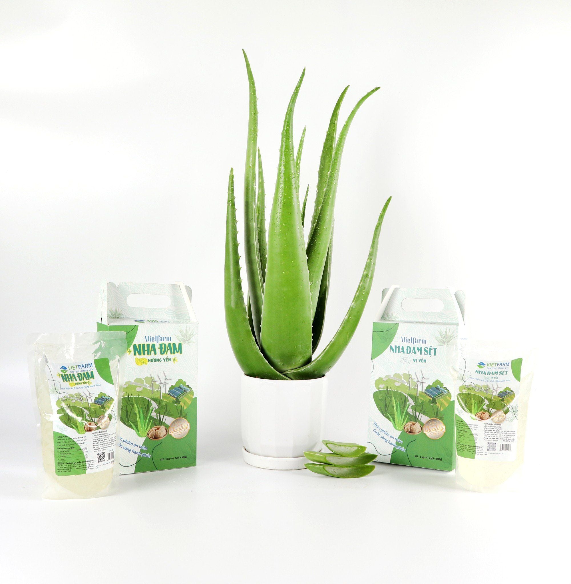 Nguyên liệu làm sữa chua nha đam có thể mua được ở các chợ, siêu thị gần nhà.