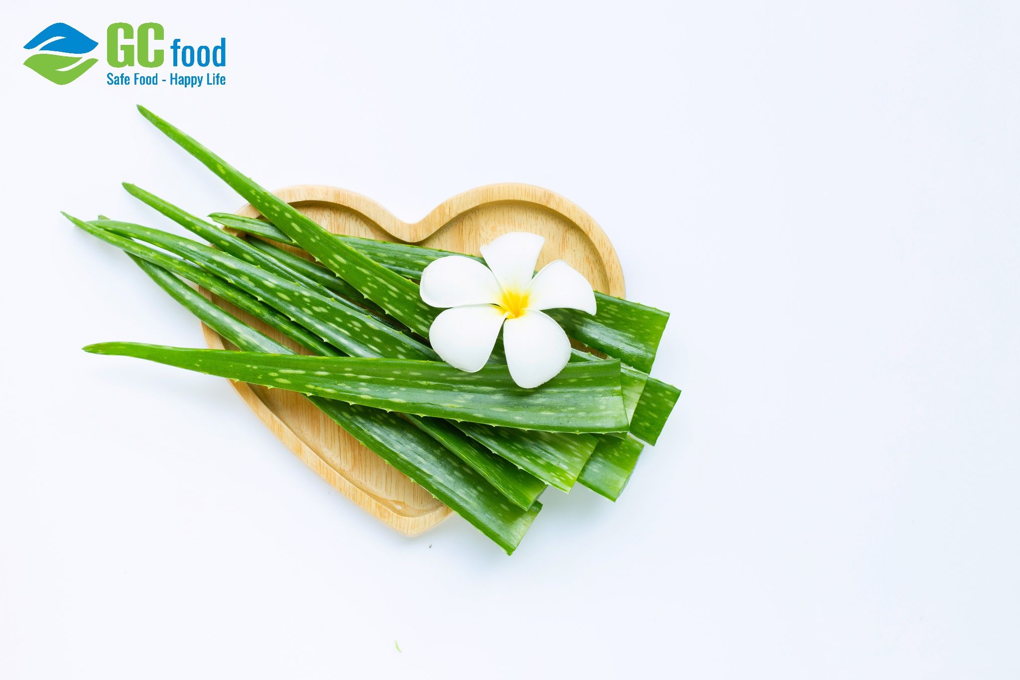 Các dưỡng chất trong nha đam giúp kiểm soát vi khuẩn, làm dịu sưng viêm và tái tạo làn da