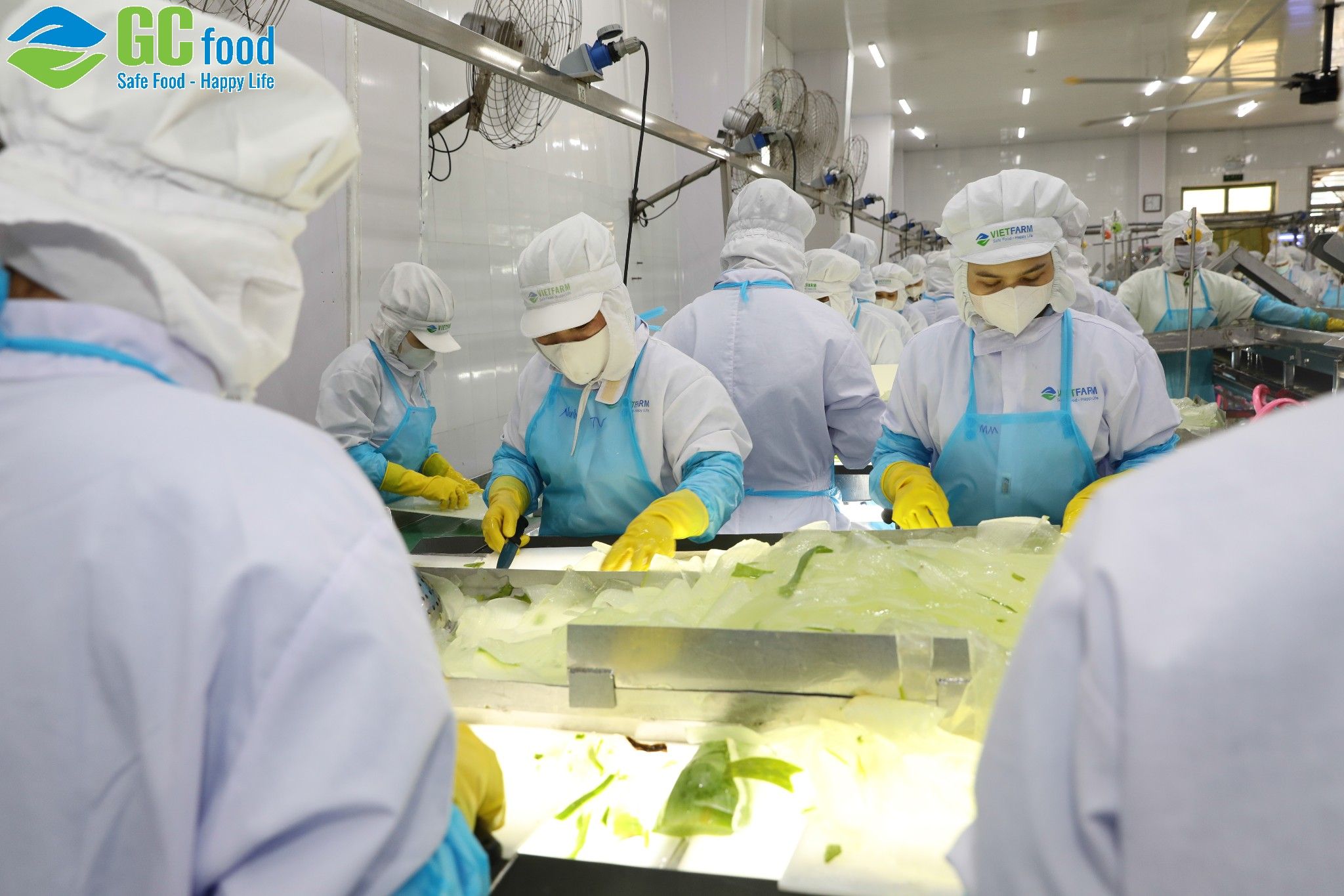 Với nguyên liệu sạch và công nghệ hiện đại, GC Food tạo ra nhiều sản phẩm thơm ngon, bổ dưỡng và an toàn