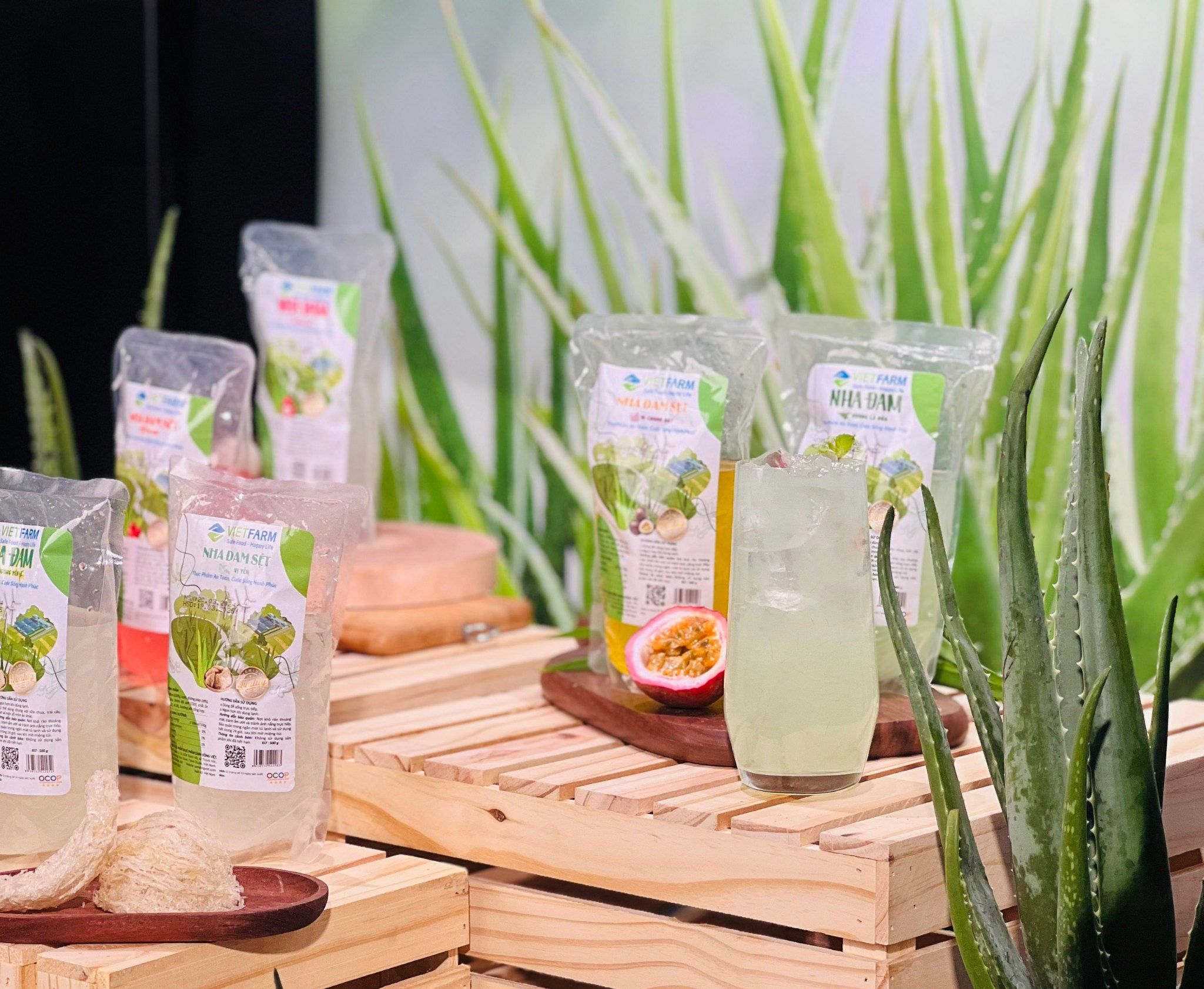 Thạch dừa và nha đam GC Food luôn đảm bảo các tiêu chí về an toàn và vệ sinh.