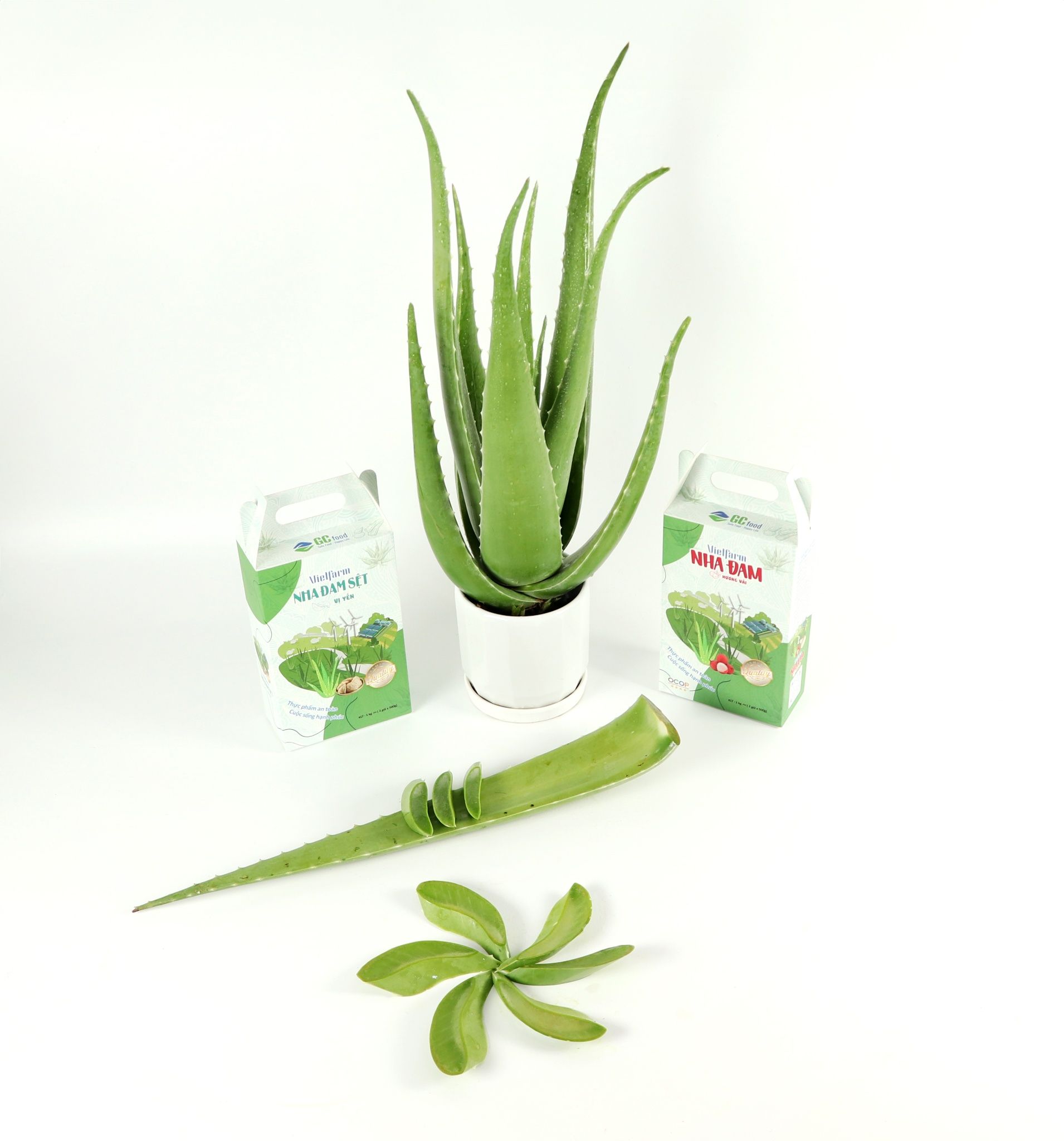 Sơ chế kỹ lá nha đam để đảm bảo an toàn khi dùng lên mặt